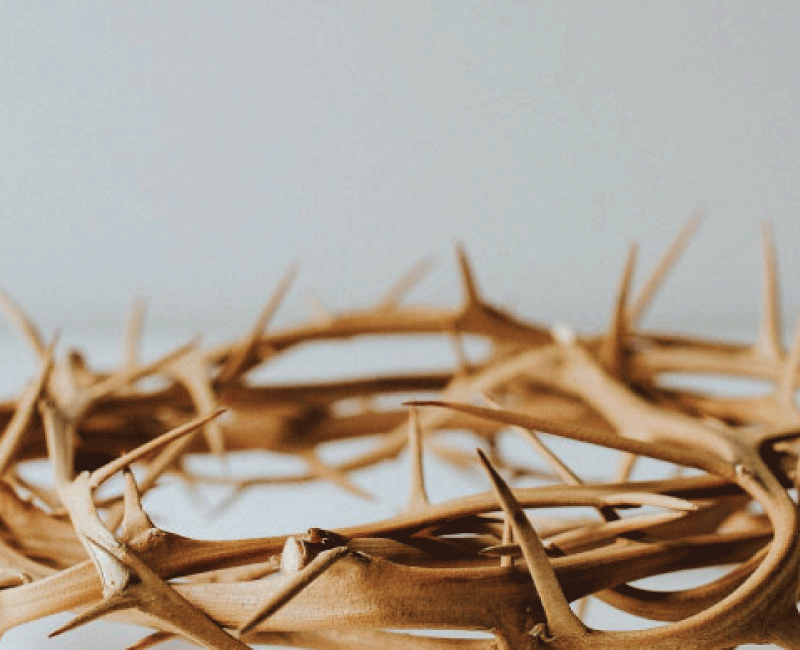 Easter Service Soon To Grace Your Campus